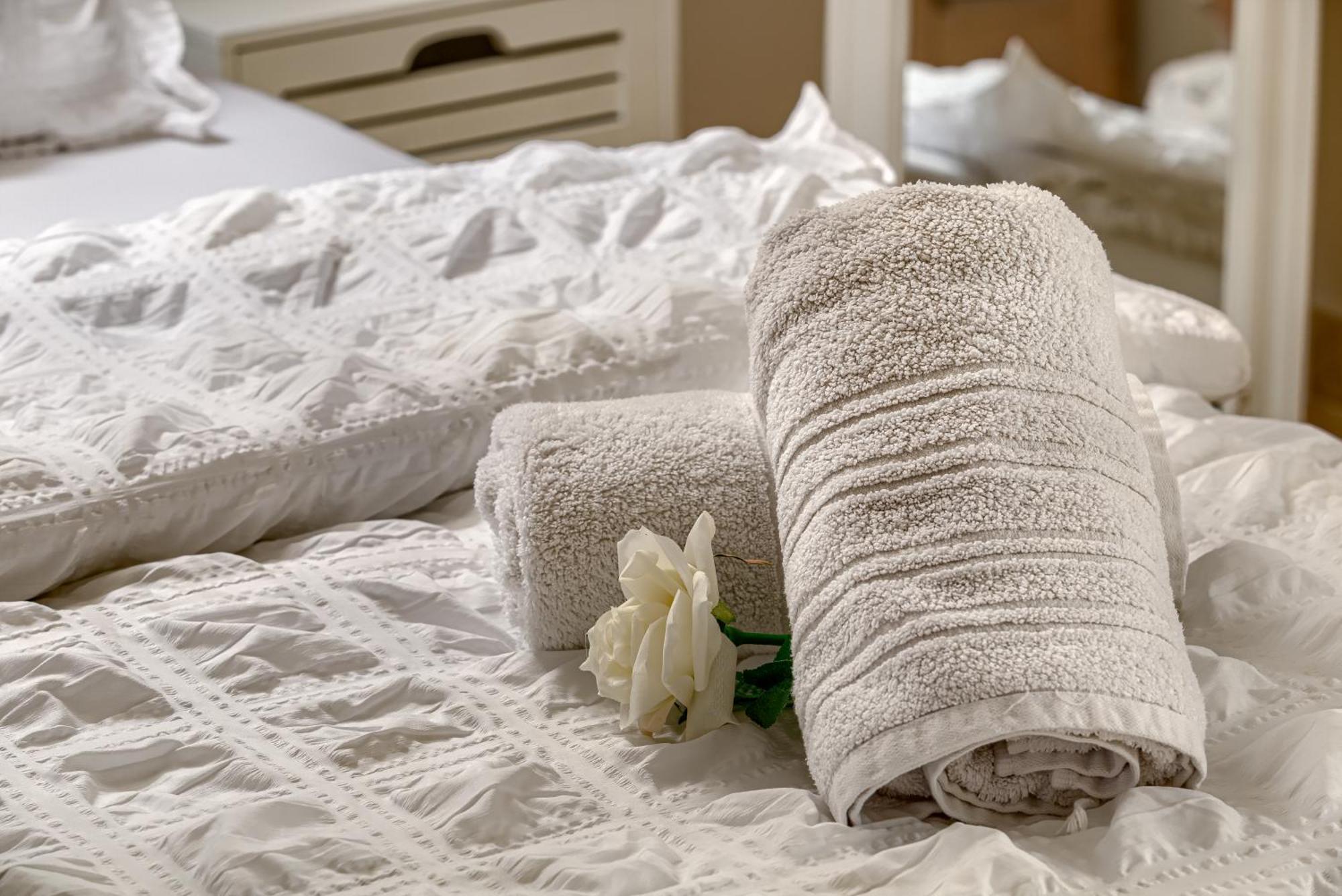 Sika Palladium Garden & Spa Central Apartment Arad Dış mekan fotoğraf