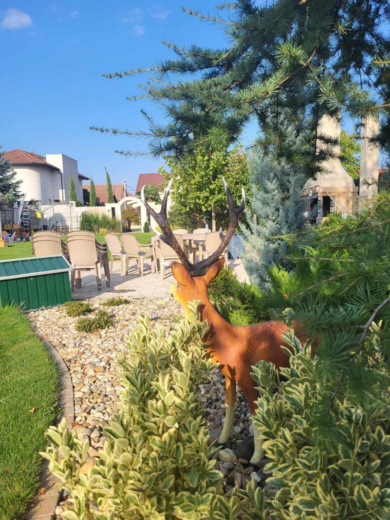Sika Palladium Garden & Spa Central Apartment Arad Dış mekan fotoğraf
